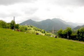 Habitat groupé Hautes-Pyrénées 65 Tarbes Midi-Pyrénées projet de mini éco-hameau dans site naturel en altitude